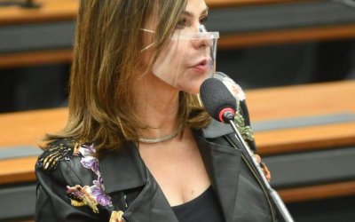 Por unanimidade, Professora Dorinha é eleita para comandar a Comissão de Educação na Câmara