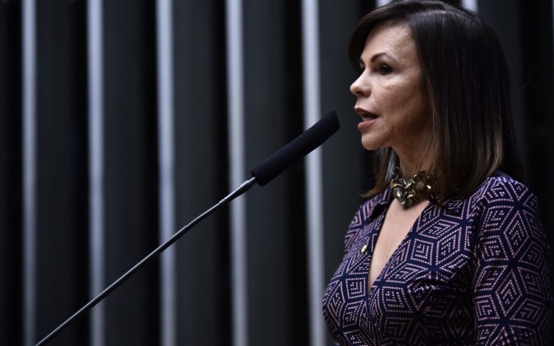 FIES: Professora Dorinha apresenta emendas para aperfeiçoamento das normas do programa