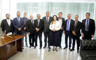 Professora Dorinha assume coordenação da bancada federal no Congresso