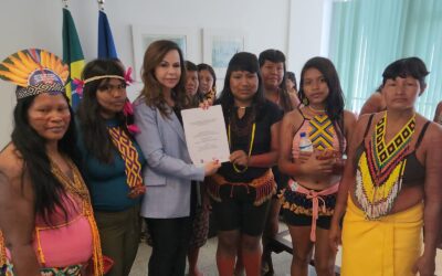 Senadora Professora Dorinha recebe lideranças indígenas femininas do Tocantins