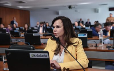 CCJ aprova relatório da Professora Dorinha favorável a PL que define padrões mínimos de qualidade para escolas públicas
