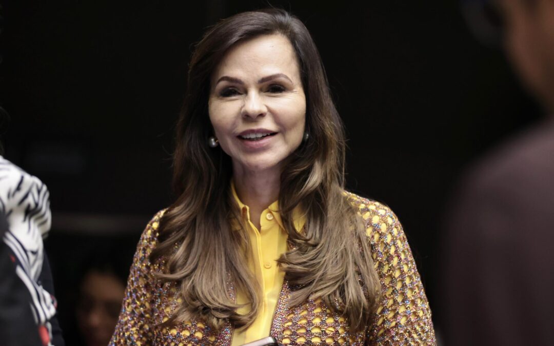 Professora Dorinha faz balanço dos trabalhos do Senado no primeiro semestre