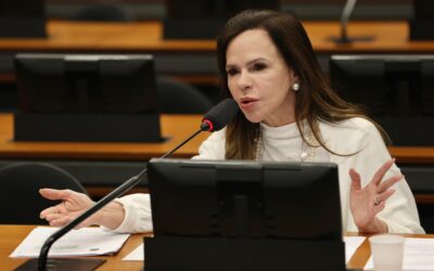 Com relatoria de Dorinha, CMO aprova crédito de R$ 520 milhões para emergências como a de Aguiarnópolis