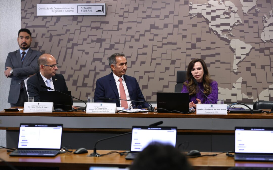 Em audiência com ministro da Integração, Professora Dorinha propõe microcrédito emergencial para população afetada por calamidades