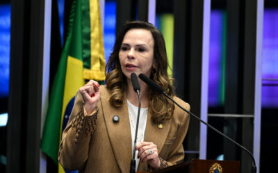 Em debate sobre feminicídio, Professora Dorinha cobra mais políticas públicas e orçamento efetivo