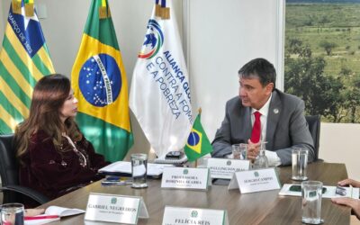 Senadora Dorinha se reúne com ministro Wellington Dias e apresenta demandas para fortalecer a assistência social no Tocantins