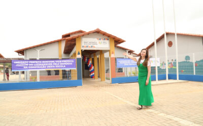Senadora Professora Dorinha entrega escola em Luzimangues