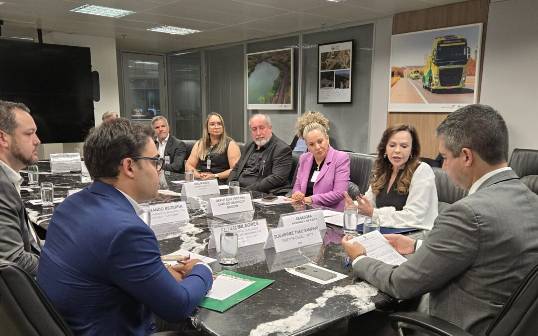 Mais segurança e mobilidade: demandas da senadora Dorinha são atendidas pela ANTT