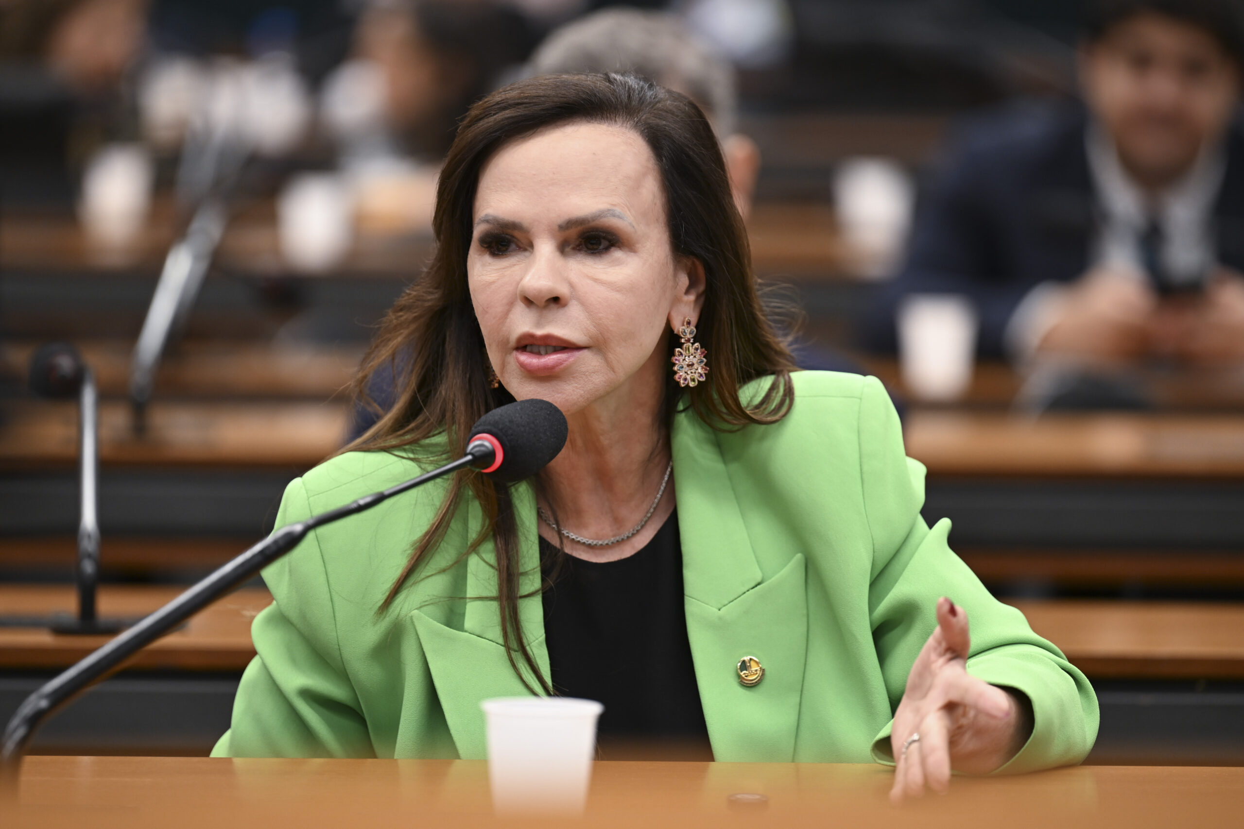 CMO – Comissão Mista de Planos, Orçamentos Públicos e Fiscali