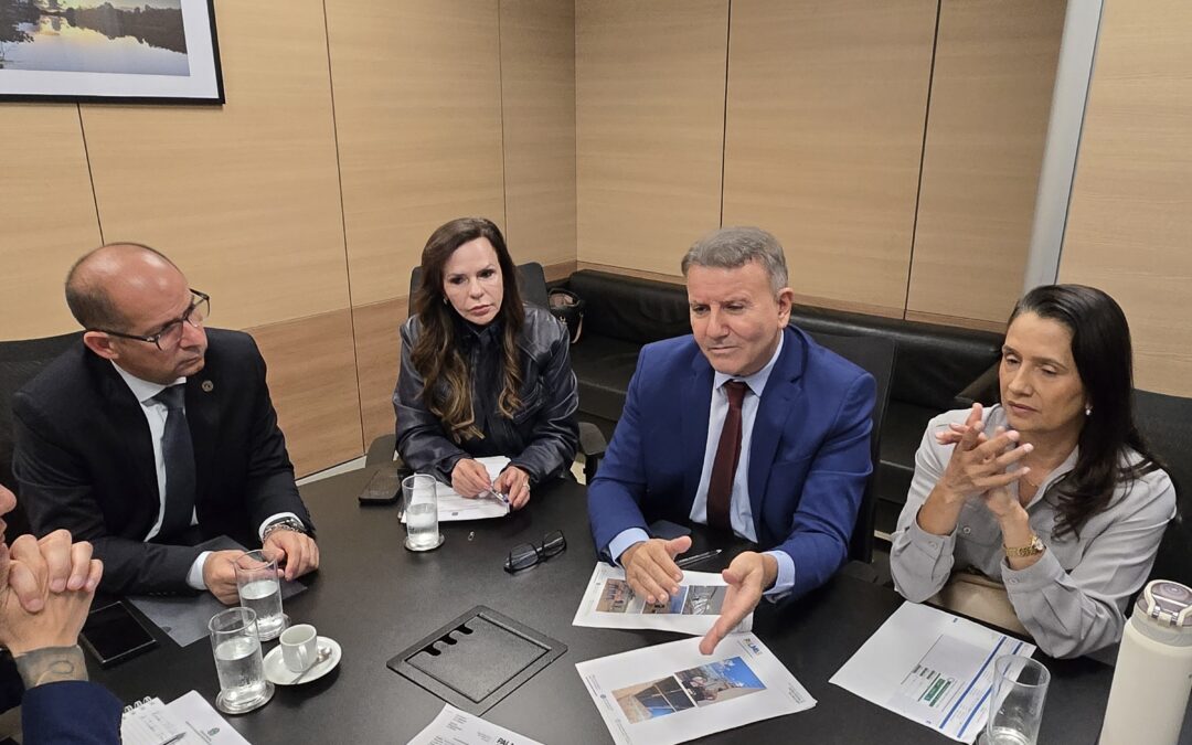 Ao lado do prefeito de Palmas, senadora Dorinha articula apoio federal e garante assistência a Palmas após desastre no Taquari