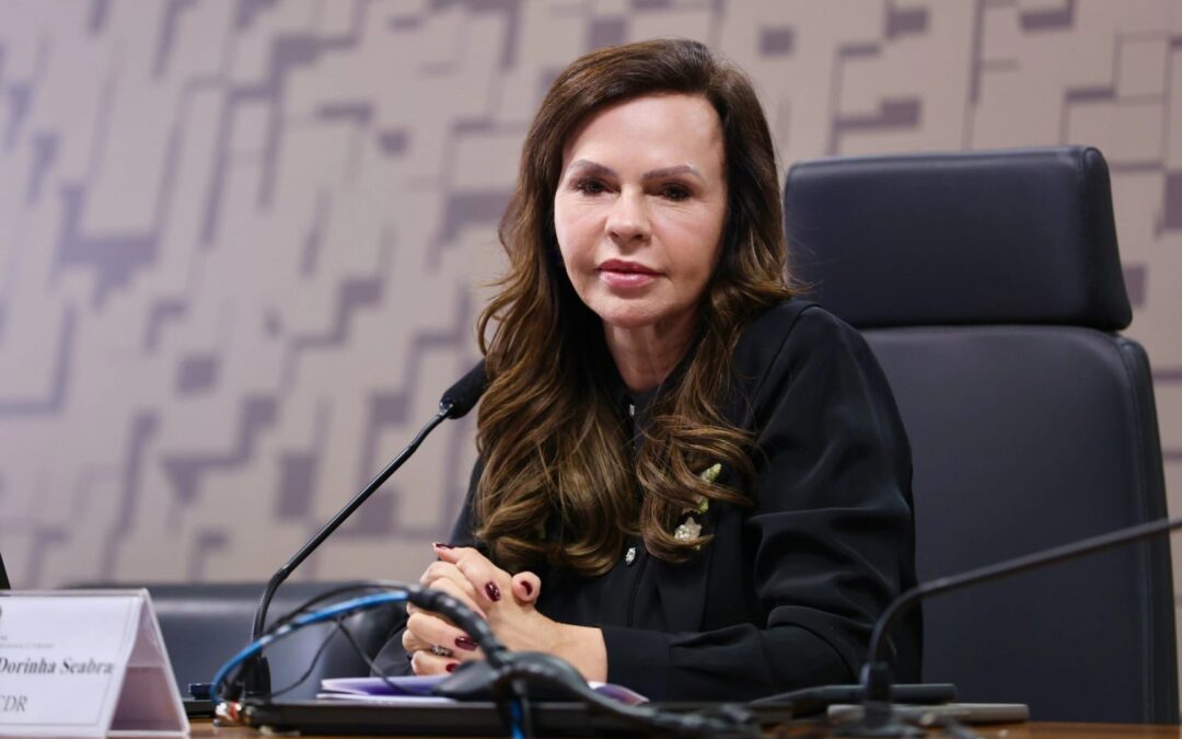 Dorinha assume relatoria da MP que reajusta o Piso do Magistério