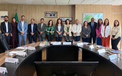 Regularização fundiária: Dorinha obtém compromisso de soluções no Tocantins em até três meses